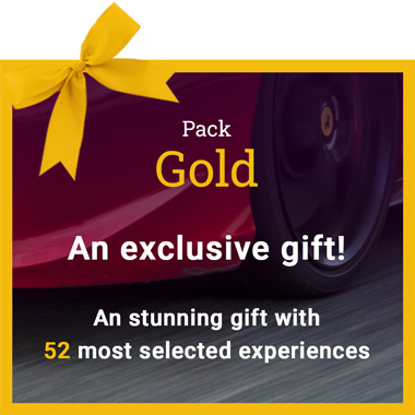 Formula GT Experience Pack Gold